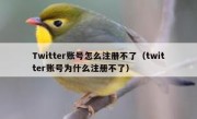 Twitter账号怎么注册不了（twitter账号为什么注册不了）