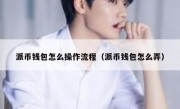 派币钱包怎么操作流程（派币钱包怎么弄）