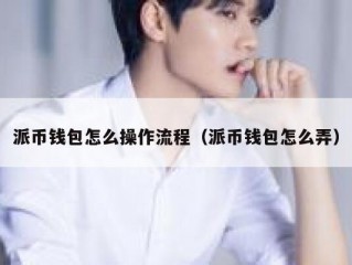 派币钱包怎么操作流程（派币钱包怎么弄）