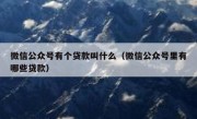 微信公众号有个贷款叫什么（微信公众号里有哪些贷款）