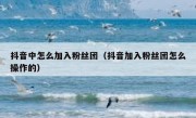 抖音中怎么加入粉丝团（抖音加入粉丝团怎么操作的）