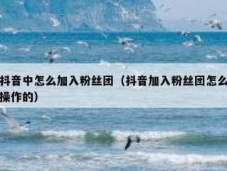 抖音中怎么加入粉丝团（抖音加入粉丝团怎么操作的）