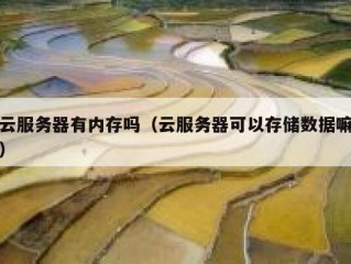 云服务器有内存吗（云服务器可以存储数据嘛）