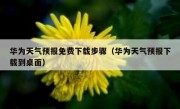 华为天气预报免费下载步骤（华为天气预报下载到桌面）