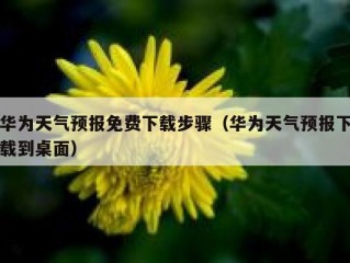 华为天气预报免费下载步骤（华为天气预报下载到桌面）
