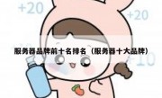 服务器品牌前十名排名（服务器十大品牌）