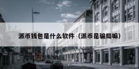 派币钱包是什么软件（派币是骗局嘛）