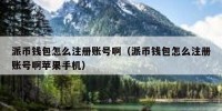 派币钱包怎么注册账号啊（派币钱包怎么注册账号啊苹果手机）