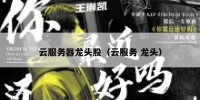 云服务器龙头股（云服务 龙头）