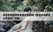樱花密码锁如何重置密码视频（樱花密码锁怎么恢复出厂设置）