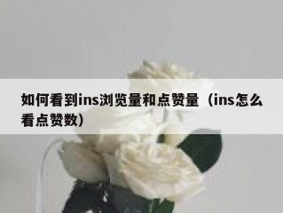 如何看到ins浏览量和点赞量（ins怎么看点赞数）