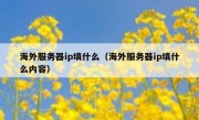 海外服务器ip填什么（海外服务器ip填什么内容）