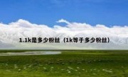 1.1k是多少粉丝（1k等于多少粉丝）
