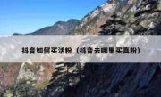 抖音如何买活粉（抖音去哪里买真粉）