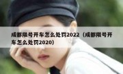 成都限号开车怎么处罚2022（成都限号开车怎么处罚2020）