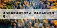 派币怎么看注册手机号码（派币怎么验证手机号）