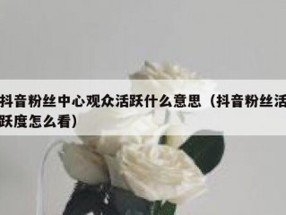 抖音粉丝中心观众活跃什么意思（抖音粉丝活跃度怎么看）