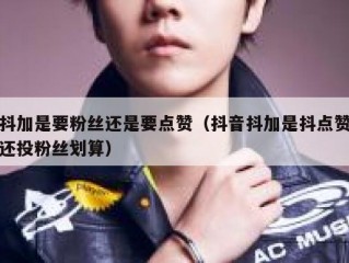 抖加是要粉丝还是要点赞（抖音抖加是抖点赞还投粉丝划算）