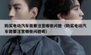 购买电动汽车需要注意哪些问题（购买电动汽车需要注意哪些问题呢）