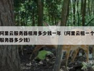 阿里云服务器租用多少钱一年（阿里云租一个服务器多少钱）