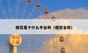 樱花是个什么平台啊（樱花全称）
