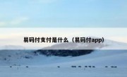 易码付支付是什么（易码付app）
