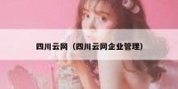 四川云网（四川云网企业管理）