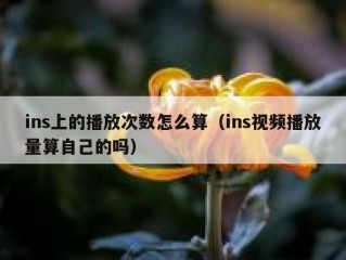ins上的播放次数怎么算（ins视频播放量算自己的吗）