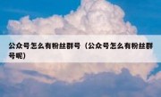 公众号怎么有粉丝群号（公众号怎么有粉丝群号呢）