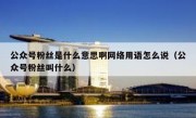 公众号粉丝是什么意思啊网络用语怎么说（公众号粉丝叫什么）