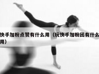 快手加粉点赞有什么用（玩快手加粉团有什么用）