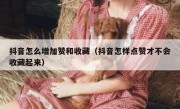 抖音怎么增加赞和收藏（抖音怎样点赞才不会收藏起来）