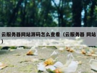 云服务器网站源码怎么查看（云服务器 网站）