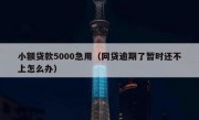 小额贷款5000急用（网贷逾期了暂时还不上怎么办）