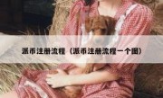 派币注册流程（派币注册流程一个图）