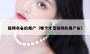 推特有名的用户（哪个才是推特的用户名）