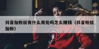 抖音加粉丝有什么用处吗怎么赚钱（抖音粉丝加粉）