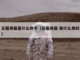 云服务器是什么样子（云服务器 做什么用的）
