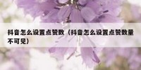 抖音怎么设置点赞数（抖音怎么设置点赞数量不可见）