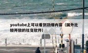 youtube上可以看到劲爆内容（国外比较开放的社交软件）