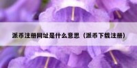 派币注册网址是什么意思（派币下载注册）