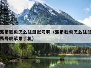 派币钱包怎么注册账号啊（派币钱包怎么注册账号啊苹果手机）