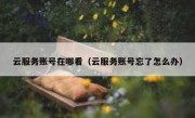 云服务账号在哪看（云服务账号忘了怎么办）
