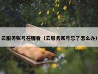 云服务账号在哪看（云服务账号忘了怎么办）