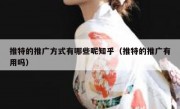 推特的推广方式有哪些呢知乎（推特的推广有用吗）