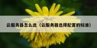 云服务器怎么选（云服务器选择配置的标准）