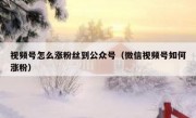 视频号怎么涨粉丝到公众号（微信视频号如何涨粉）