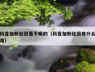 抖音加粉丝团是干嘛的（抖音加粉丝团有什么用）