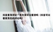 抖音里发评论一条大家可以看到吗（抖音可以看我发出的评论吗）