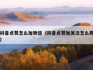 抖音点赞怎么加微信（抖音点赞加关注怎么弄）